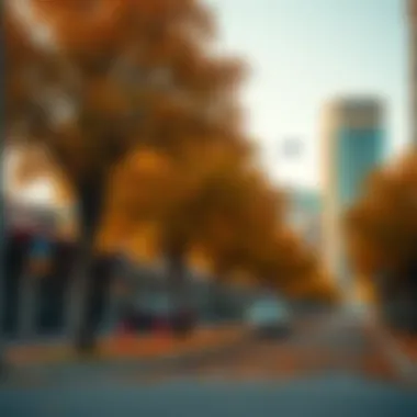 Magnificent Exploring the Autumn Highlights of Jumeirah Village Circle Magnificent Exploring the Autumn Highlights of Jumeirah Village Circle