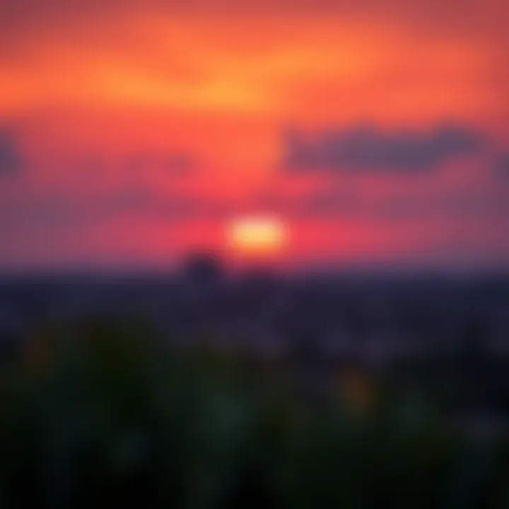 Dramatic sunset over Al Barari's expansive natural habitat