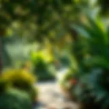 Lush greenery of Al Barari's landscape showcasing diverse plant species