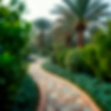 Winding Pathways at Al Barari Park Pathway winding through the greenery of Al Barari Park