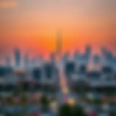 Stunning skyline of Dubai with Arjan in the foreground