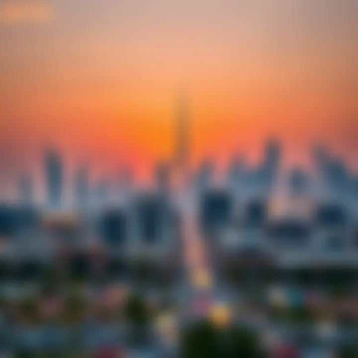 Stunning skyline of Dubai with Arjan in the foreground