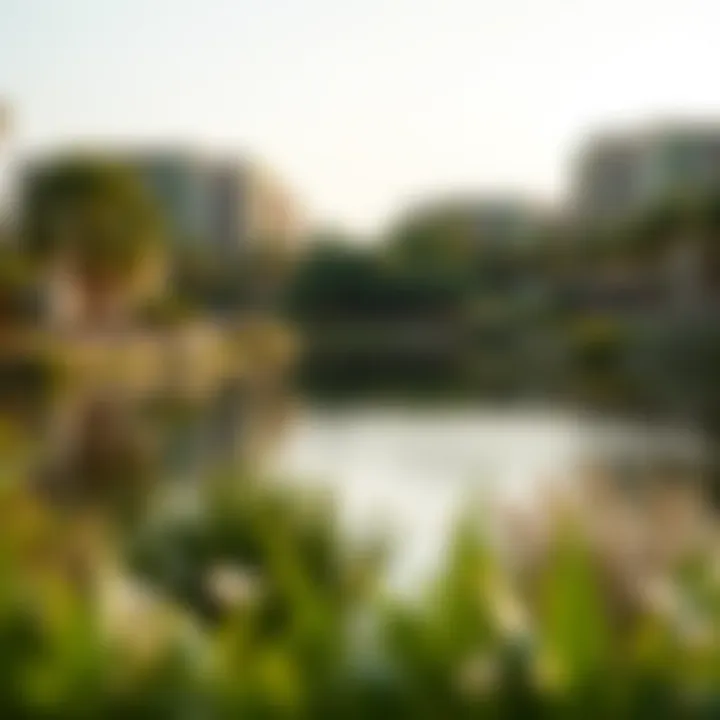 Tranquil Lakeside Serenity in Damac Hills 2 A tranquil lake surrounded by greenery in Damac Hills 2