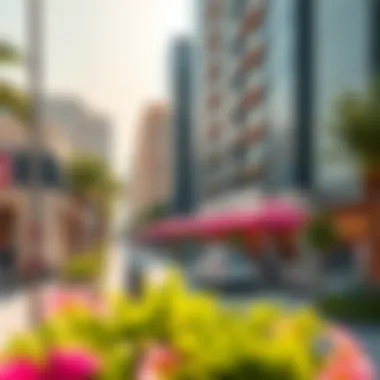 Lifestyle Amenities Near Damac Mall Street Surrounding amenities enhancing the lifestyle at Damac Mall Street