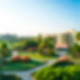 Scenic view of lush green spaces in Discovery Gardens