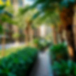 Lush greenery and landscaping in Discovery Gardens