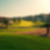 Lush Fairways of Emirates Hill Golf Club Stunning view of the Emirates Hill Golf Club's lush fairways under the sun
