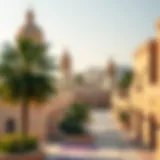 A panoramic view of Al Quasais showcasing its unique architectural style