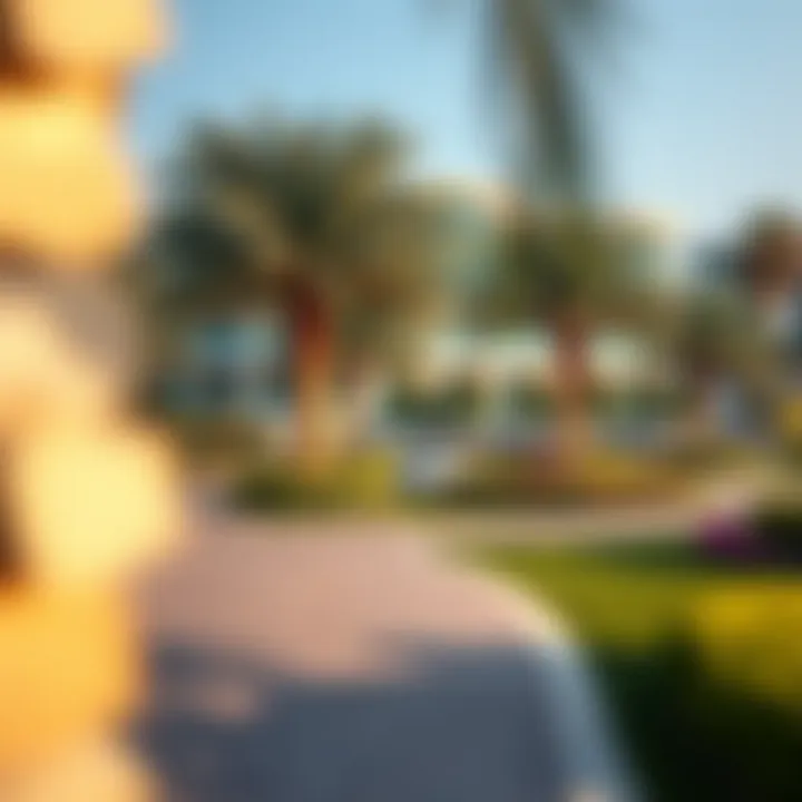 Scenic park in Al Quoz 2