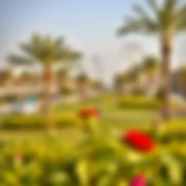 Recreational Park in Al Qusais Spacious recreational park in Al Qusais ideal for families