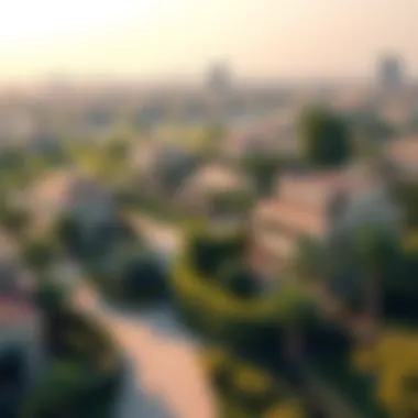 Community Green Spaces in Al Wasl Green spaces and parks that enhance community living