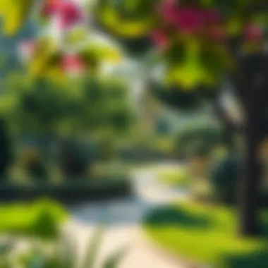 Lush Green Spaces in Arjan Beautiful landscaped park in Arjan community