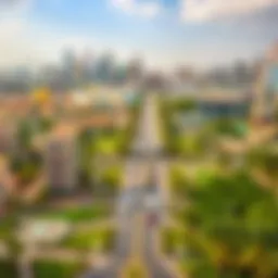 Panoramic view of Barsha showcasing its vibrant skyline and lush green spaces