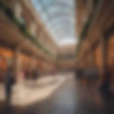 Interior shot of a vibrant shopping area within the mall