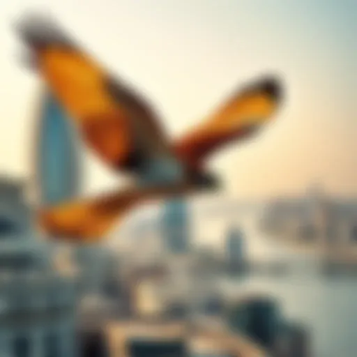 Majestic view of Deira Falcon soaring against the skyline