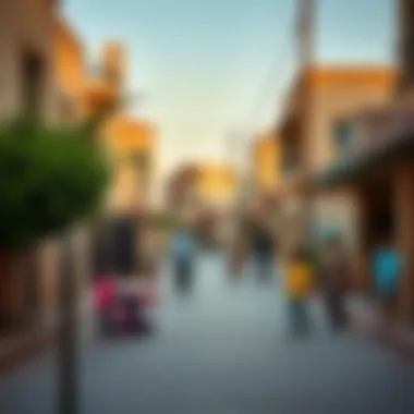 Community Leisure in Dib Al Tuar Families enjoying leisure activities in the neighborhood