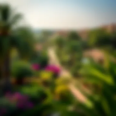 Lush Greenery in Dib Al Tuar Lush green landscaping of Dib Al Tuar