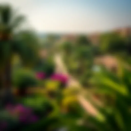 Lush Greenery in Dib Al Tuar Lush green landscaping of Dib Al Tuar