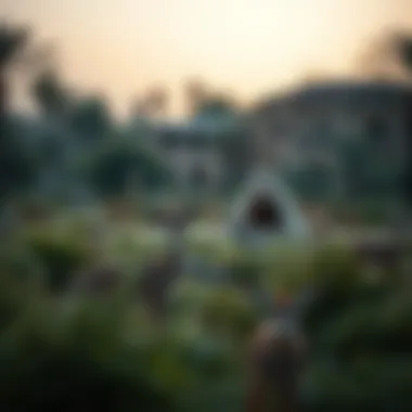 Serene Wildlife in Mushrif Park Wildlife and natural features of Mushrif Park captured in a serene moment