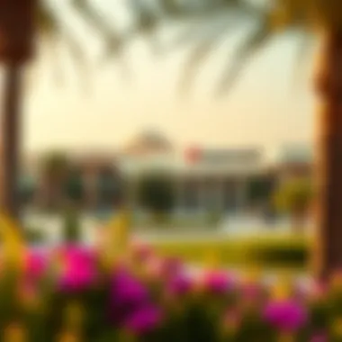 Exploring Nurseries in Al Quoz: A Comprehensive Guide Summary Exploring Nurseries in Al Quoz: A Comprehensive Guide Summary