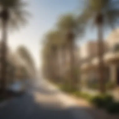 Streets adorned with palm trees and contemporary homes in the Jebel Ali vicinity