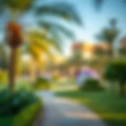 Tranquil park in Salt Khawaneej