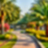 Vibrant greenery and walking path at Satwa Park