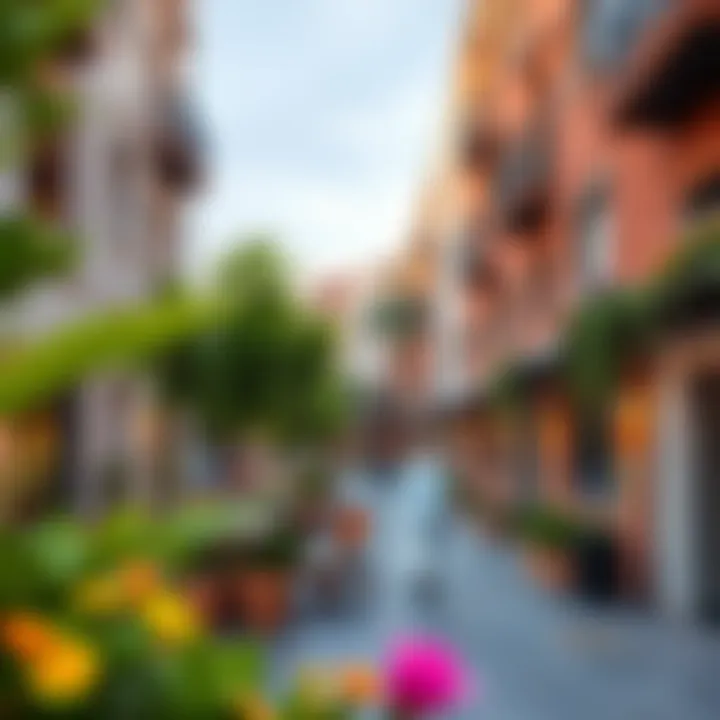 Vibrant community spaces within Somerset Mews promoting a sense of belonging