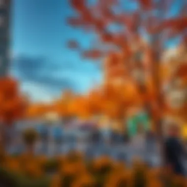 Exploring the Autumn Highlights of Jumeirah Village Circle Summary Exploring the Autumn Highlights of Jumeirah Village Circle Summary