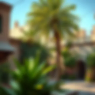 Al Fahidi: A Blend of History and Nature Lush greenery in Al Fahidi Historical Neighborhood