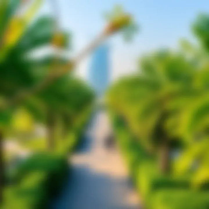 Lush Green Parks in Dubai Lush green parks in the heart of Dubai