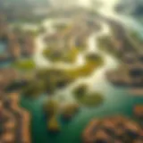 Diverse Habitats of Ras Al Khor Aerial view of Ras Al Khor's wetlands showcasing diverse habitats.