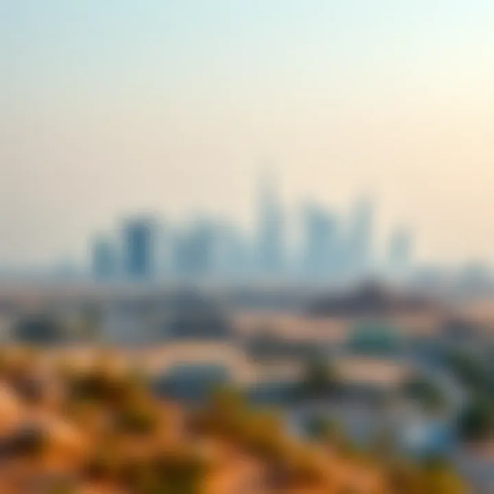 Dubai's Urban Skyline and Ras Al Khor Urban skyline of Dubai framing Ras Al Khor's ecological landscape.