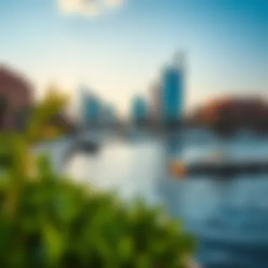 Harmony of Nature and Urban Life at Dubai Harbour Natural scenery along the waterfront of Dubai Harbour blending with urban life
