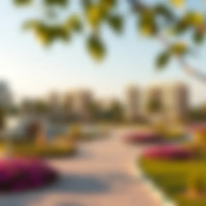 Community Park in Damac Hills 2 Community park in Damac Hills 2 highlighting recreational spaces for residents