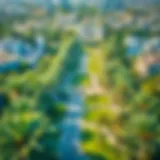 Lush Greenery of Jumeirah Park Aerial view showcasing the lush greenery of Jumeirah Park