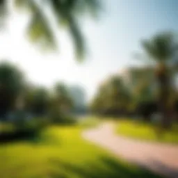 Lush park in the Meadows community