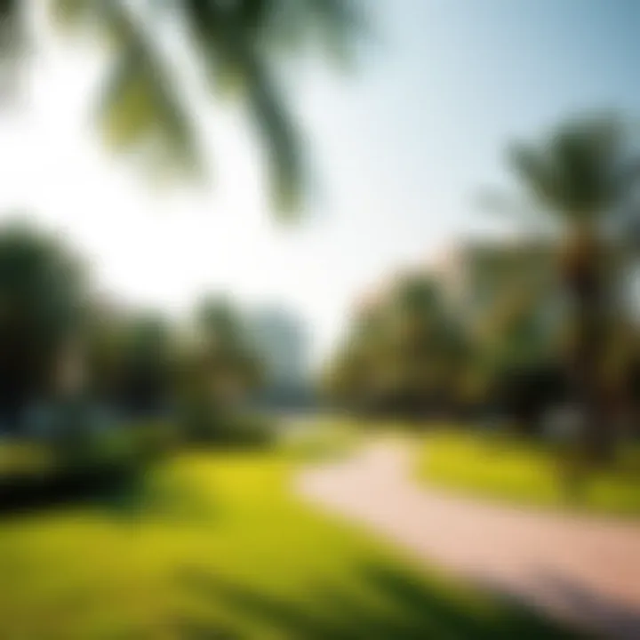 Serene Green Spaces in Meadows Lush park in the Meadows community