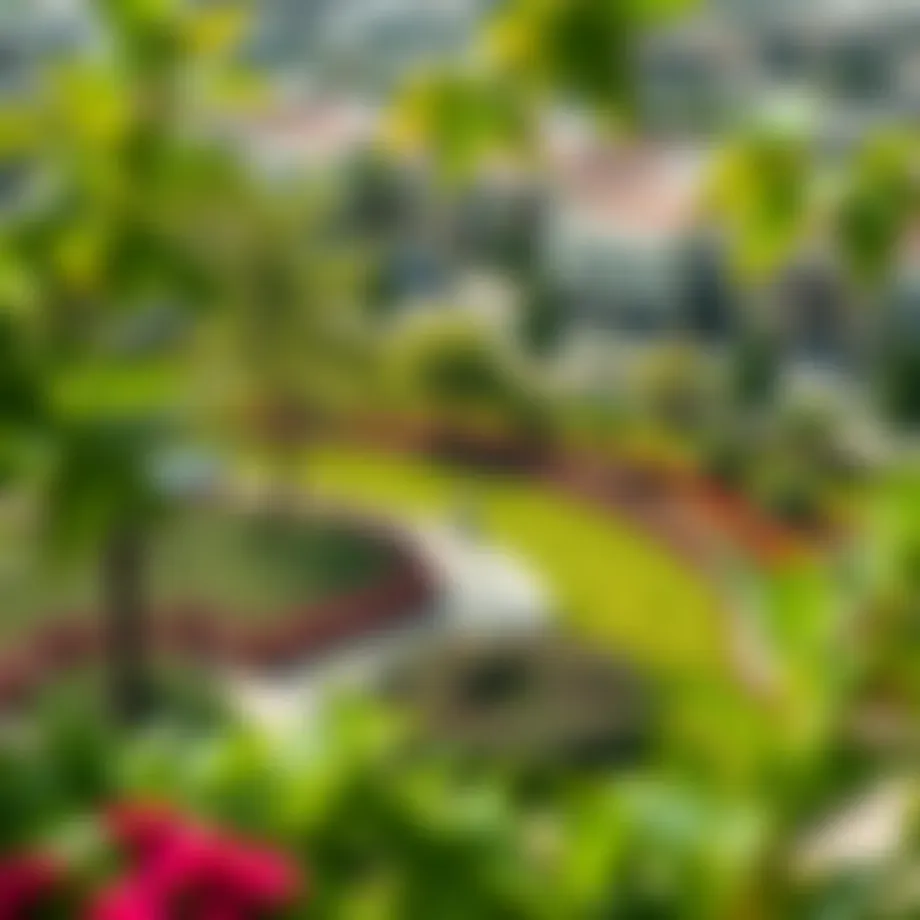 Lush green spaces in The Meadows community