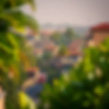 A serene view of the lush landscapes in Um Ramool, showcasing its unique greenery