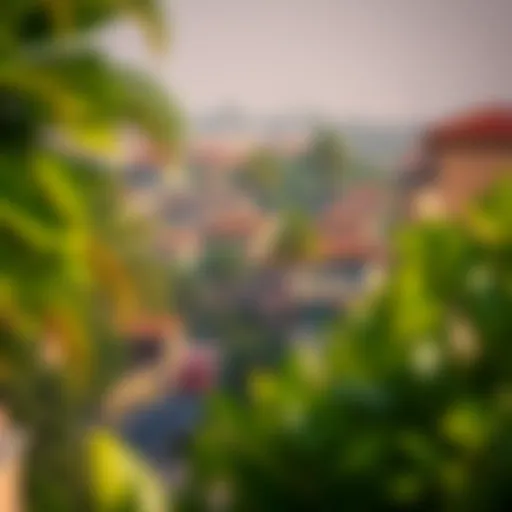 A serene view of the lush landscapes in Um Ramool, showcasing its unique greenery