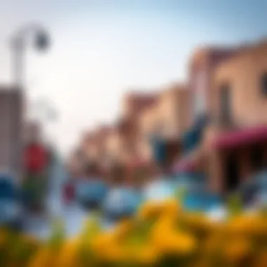 Exploring Wasl Village: A Comprehensive Insight into Dubai's Distinct Neighborhood Summary