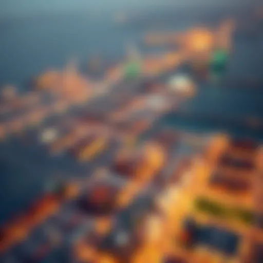 Aerial view of Jebel Ali Port showcasing its vastness and structure