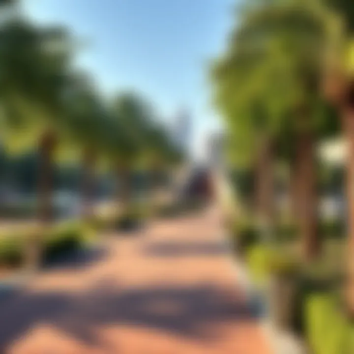 Beautifully designed pathways meandering through Mashreq Park