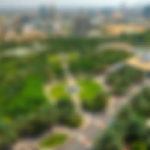 Aerial view of Mushrif Park showcasing its lush greenery
