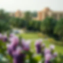 View of Spinzer Barsha's lush green spaces