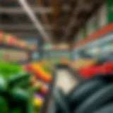 Interior view of a modern supermarket in JVC showcasing fresh produce