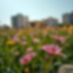 Blooming wildflowers under the blue sky