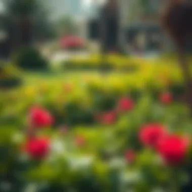 Lush Green Park in Um Ramool Lush green park in Um Ramool showcasing local flora