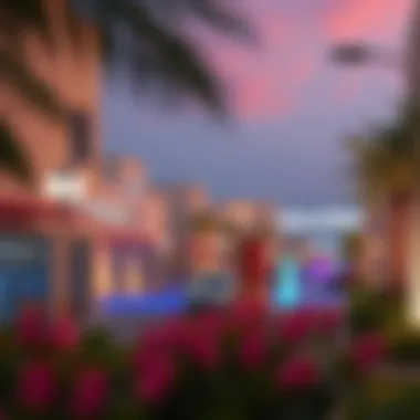 Community Amenities in Umm Al Shief Community amenities in Umm Al Shief